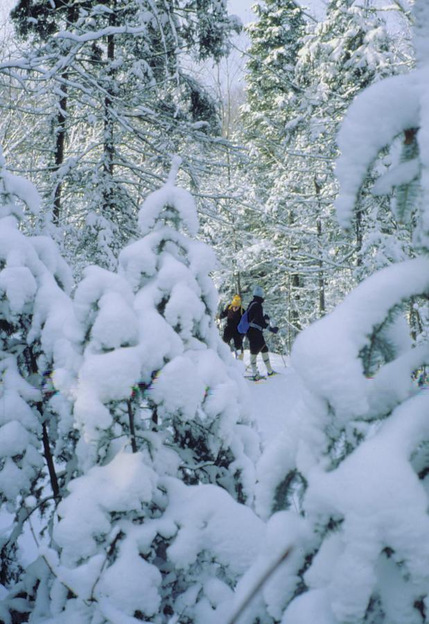 Hotel Far Hills Val-Morin 外观 照片